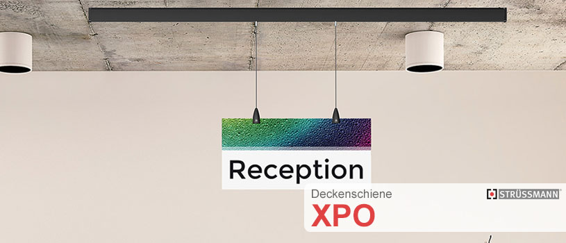 ShopDeckenschiene XPO kaufen » freihängende Bilderschiene für Decke
